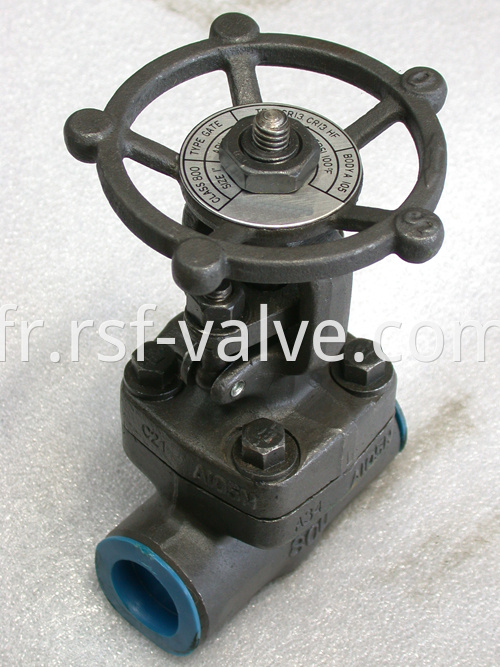 Api 602 Forged Steel Gate Valve 1